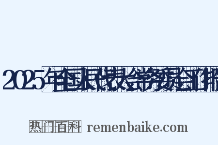 2025年全国人民代表大会常务委员会工作报告是什么意思的图片